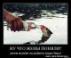 Без описания