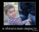 Без описания