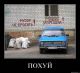 Без описания