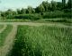 Дорога 1