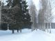 Без описания