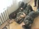 Трудное утро тихий час в учебке ваши комы