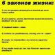 Без описания