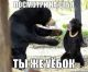 Без описания
