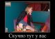 Без описания