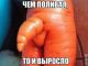 Без описания