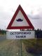 Без описания