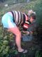 21.08.2012г-На огороде