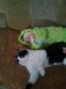 Младший сына с котом василием