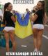 Без описания