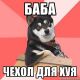 Без описания