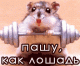 Hy,v Hamype!