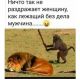следующее фото