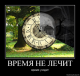 Без описания