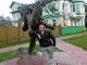 Без описания