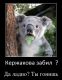 Без описания