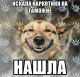 Без описания