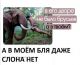 Без описания