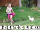 Без описания
