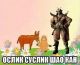 Без описания