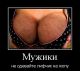 Без описания
