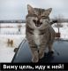 Без описания