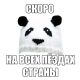 Без описания
