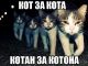 Без описания