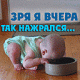 Я после своей днюхи, Дашков Женя...