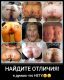 предыдушее фото
