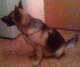 1355147766_8108.gif