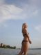 следующее фото