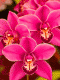 1366386334_9418.gif