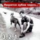 3..2..1 прощайте зубы