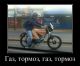 Без описания