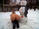 Без описания