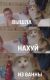 Без описания