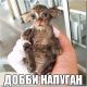 Без описания