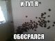 Без описания