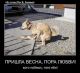 Без описания