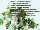предыдушее фото
