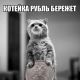 Без описания