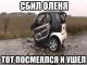 предыдушее фото