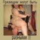предыдушее фото