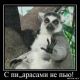 Без описания