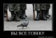 Без описания