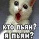 Без описания