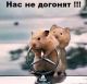Без описания