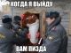 Без описания