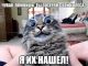 предыдушее фото